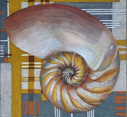 Nautilus 3